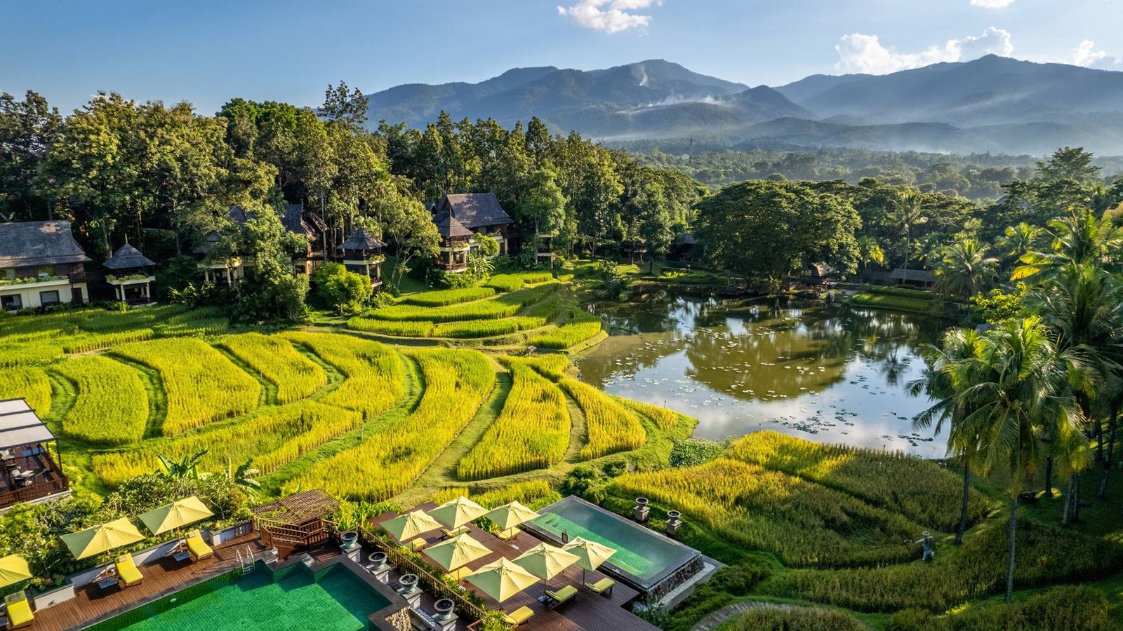 Chiang Mai Resort Offers Journey of Rice Cultural Experience — official Four Seasons Resort Chiang Mai image