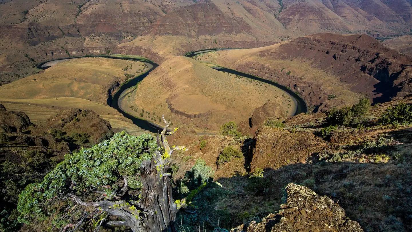 Bob Wick/Bureau of Land Management, John Day River Canyon
