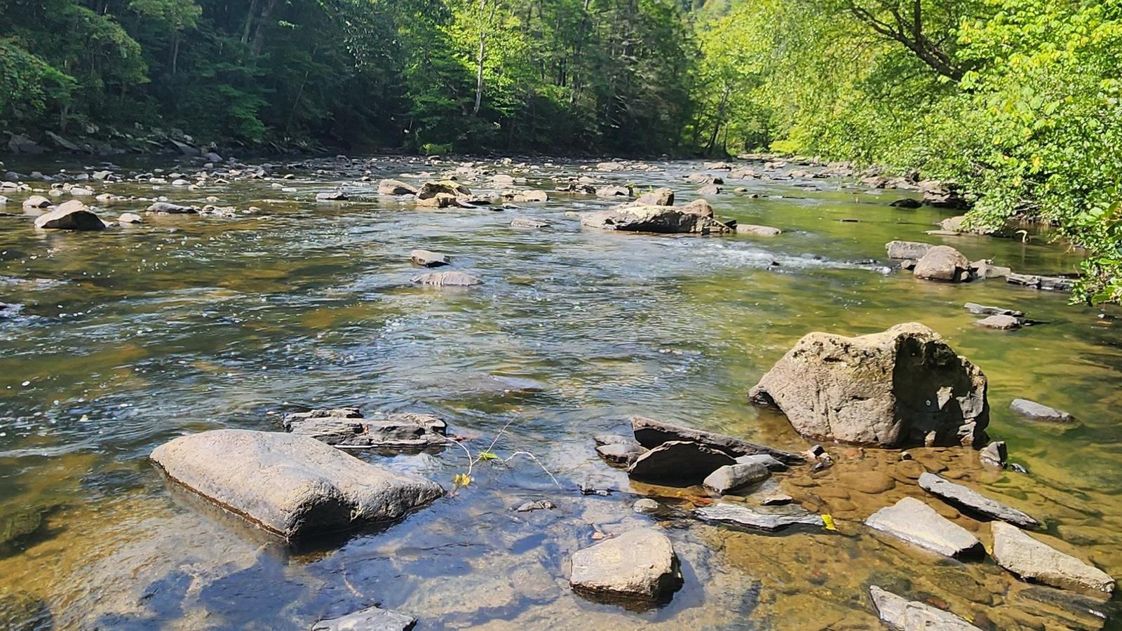 National Park Service, official Bluestone National Scenic River panorama