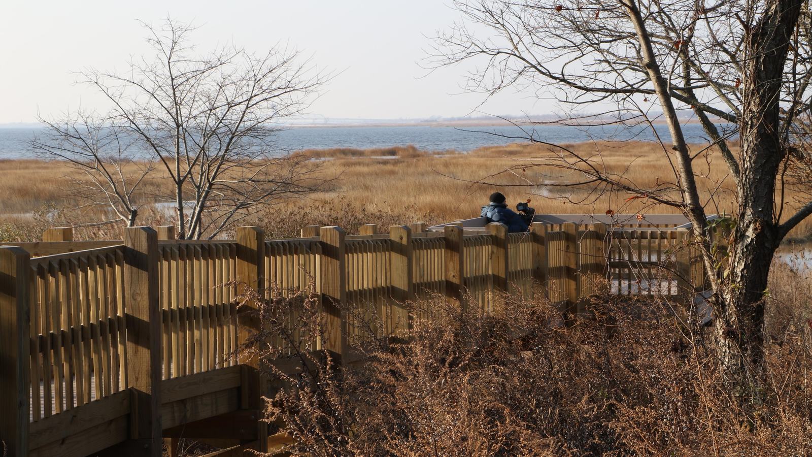 National Park Service, marsh habitat in Gateway National Recreation Area