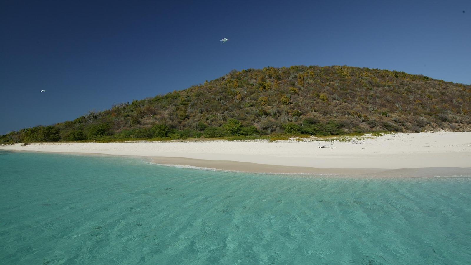 National Park Service, Buck Island seen from the surrounding water