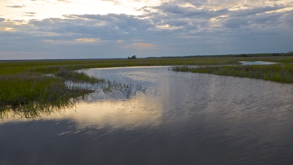 NPS Great Egg Harbor River / Tim Palmer, used by NPS with permission