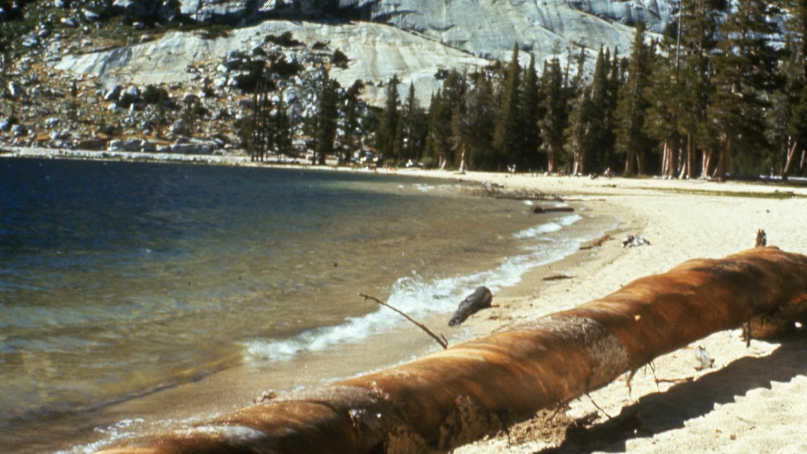 US National Park Service / Yosemite historic photo archive