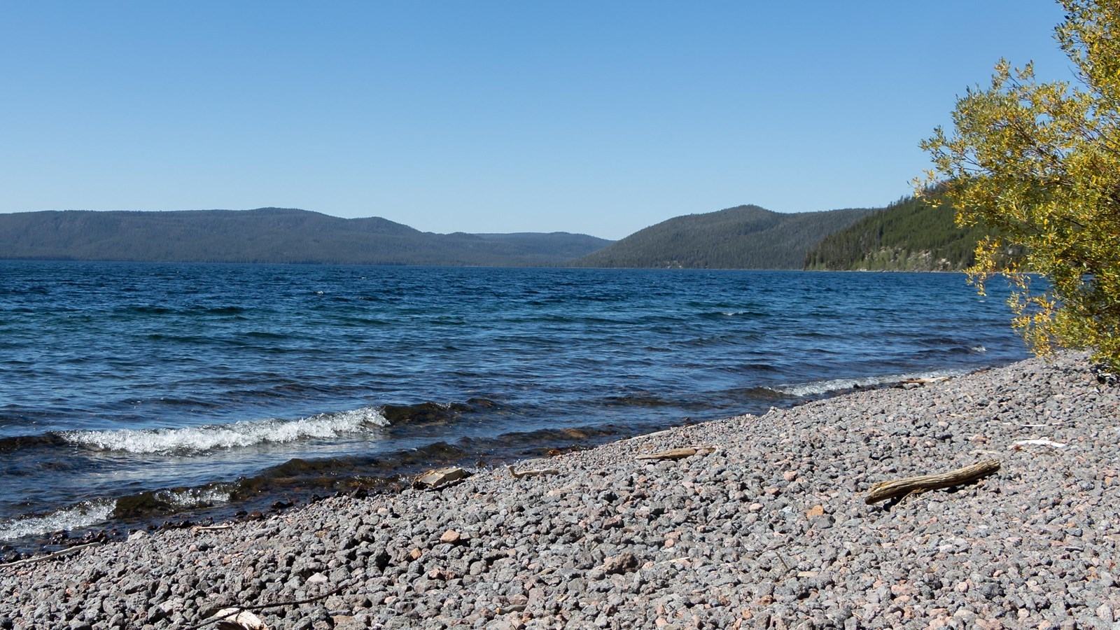 NPS / Addy Falgoust, Shoshone Lake shoreline in Yellowstone