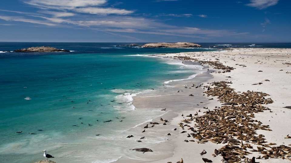 Tim Hauf / National Park Service — official San Miguel Island photograph