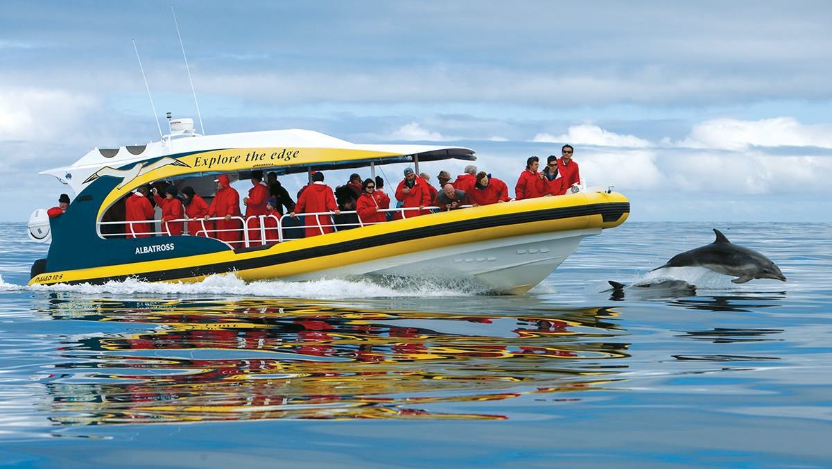 Official photograph: Bruny Island Cruises / Pennicott Wilderness Journeys