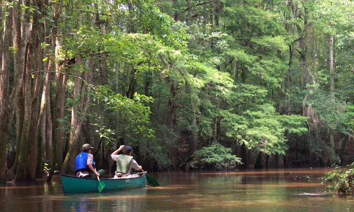 National Park Service — canoeists on Cedar Creek, Congaree | Cedar Creek by Canoe: A Quiet Journey Through Congaree’s Floodplain Forest