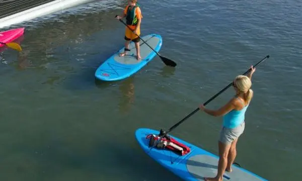 Your First Stand-Up Paddleboard Journey: From Shoreline to Open Water — official Discover Boating, How to Stand Up Paddleboard image