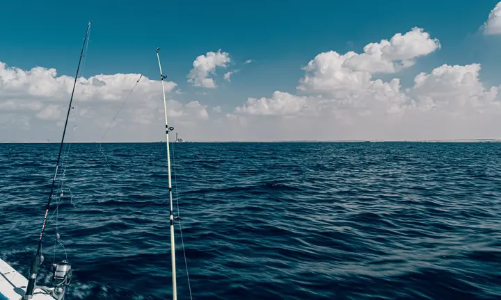 Saltwater Fishing Tips — official Discover Boating image