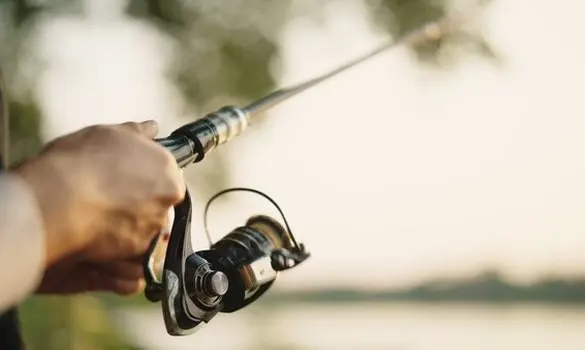 Does Wind Affect Fishing? 7 Tips for Fishing in Windy Conditions — official Discover Boating image