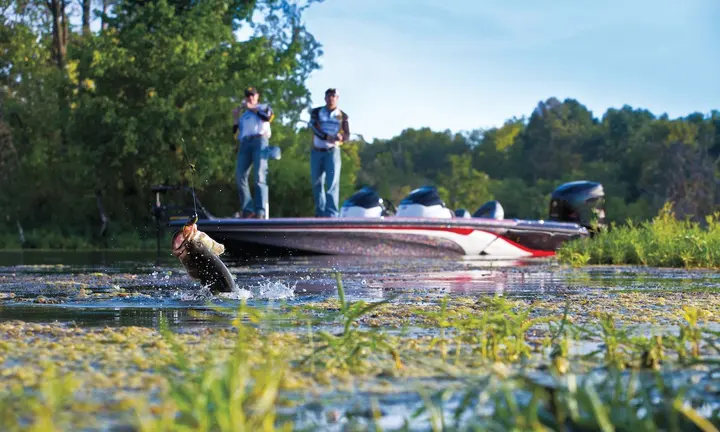 Bass Fishing: Striped Bass — official Discover Boating image