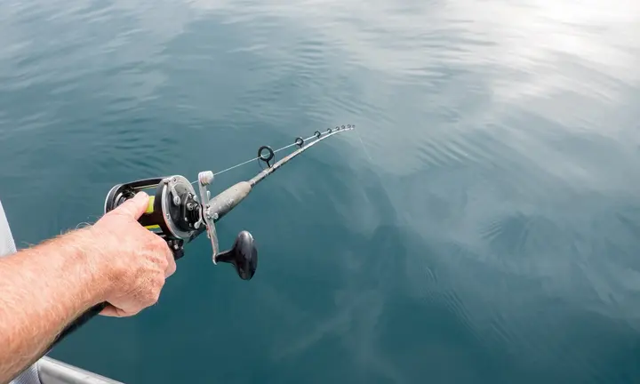 Freshwater Fishing - Carp — official Discover Boating image