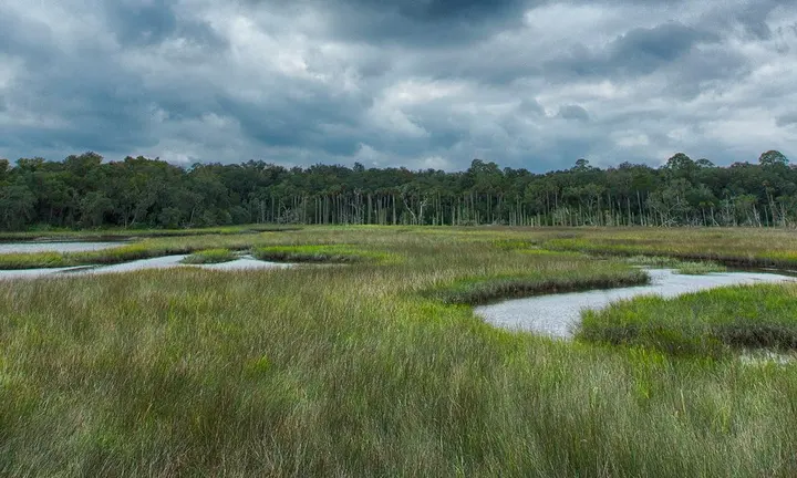 Timucuan by Kayak: Exploring Jacksonville's Salt Marshes with the Tides - National Park Service image