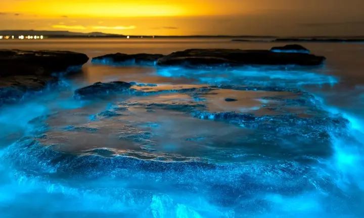 Bioluminescent Water Can Turn an Ordinary Night Paddle Into Something Extraordinary — official Yamaha Blue Life image