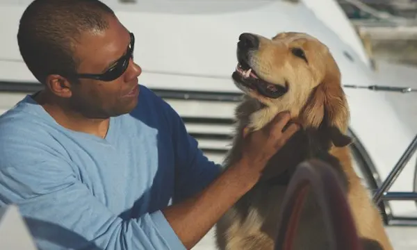 Best Boat Dogs: 12 Dog Breeds That Love Life on the Water — official Discover Boating image