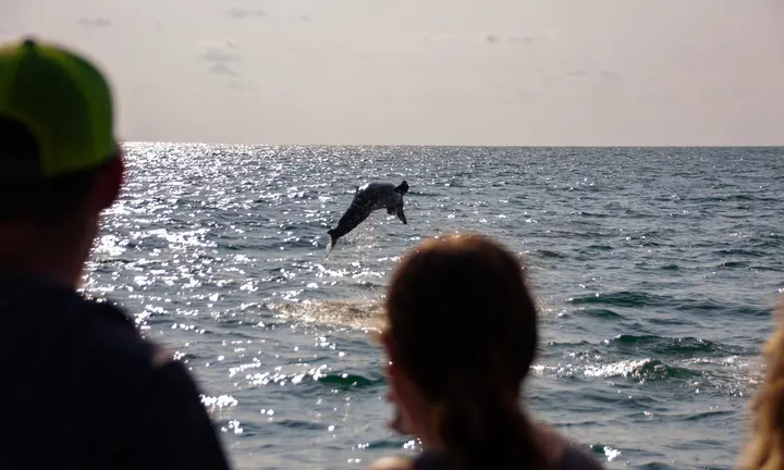 Wildlife Refuge Week from the Water: A Quiet Small-Boat Escape — official Discover Boating, National Wildlife Refuge Week: Three Boating Tips image