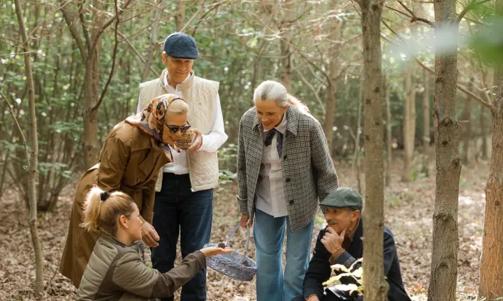 Budapest's Truffle Hunt Turns a Hotel Stay Into a Countryside Food Trip — official source image