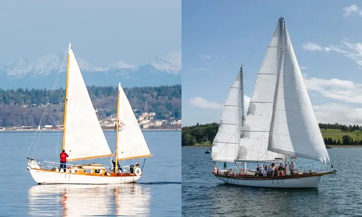 Learn How to Sail - Sailing Rules & Instructions — official Discover Boating image