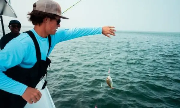 What is the Best Fishing Bait? — official Discover Boating image