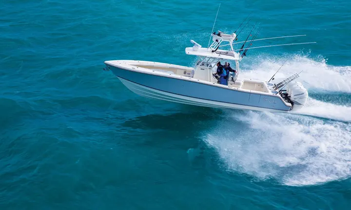 Live Bait: How To Keep Fishing Bait Alive and Healthy — official Discover Boating image
