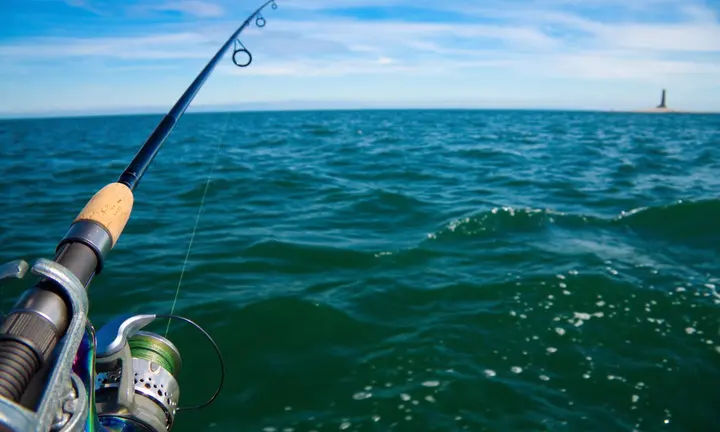 Freshwater Fishing: Black Crappie — official Discover Boating image