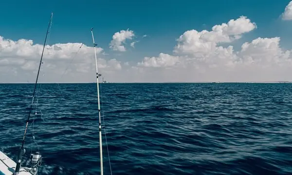 The Top 10 Saltwater Fishing Boats — official Discover Boating image