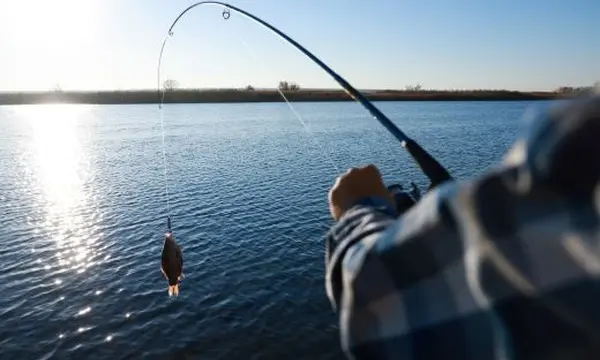 8 Best Fishing Rods for Beginners — official Discover Boating image