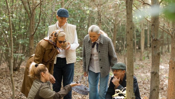 Budapest's Truffle Hunt Turns a Hotel Stay Into a Countryside Food Trip — official source image