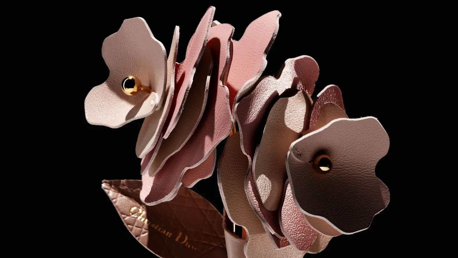LBG Lifestyle Dior's Grasse Rose Brings a Riviera Scent to the Holiday Wardrobe — official subject photograph