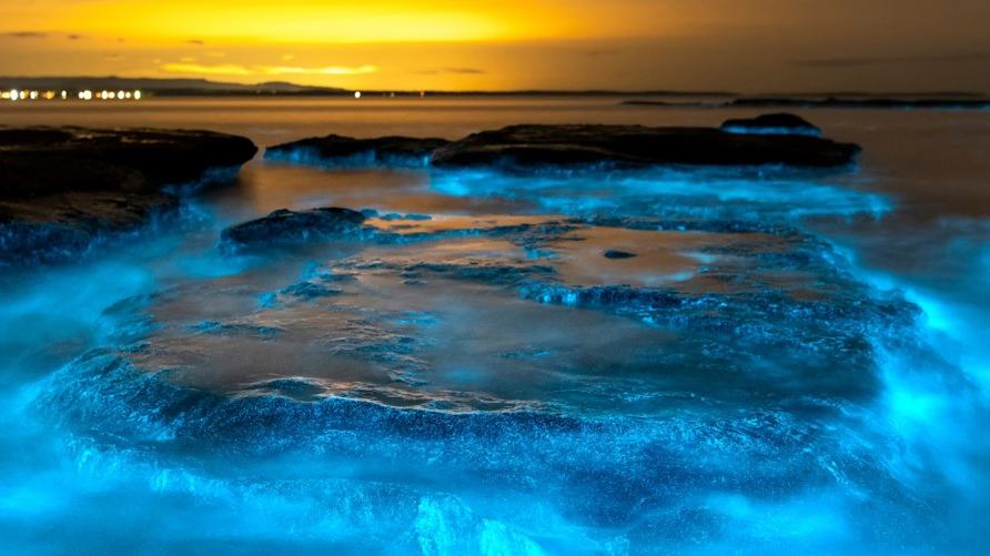 Bioluminescent Water Can Turn an Ordinary Night Paddle Into Something Extraordinary — official Yamaha Blue Life image