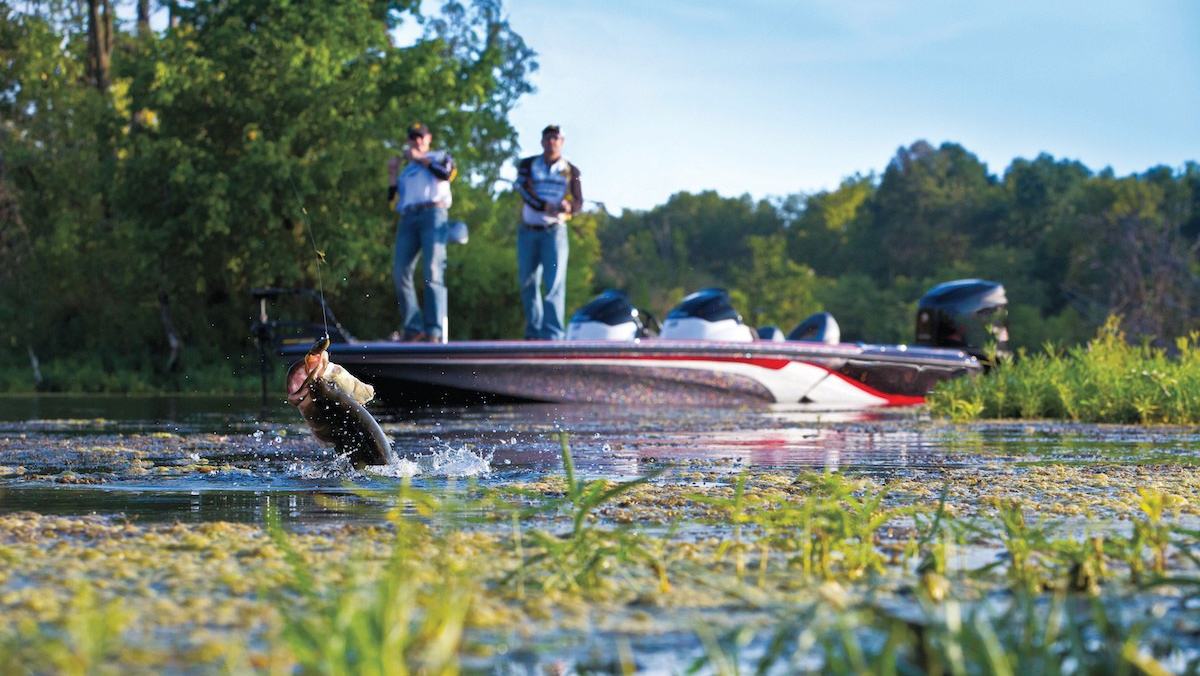 Bass Fishing: Striped Bass — official Discover Boating image