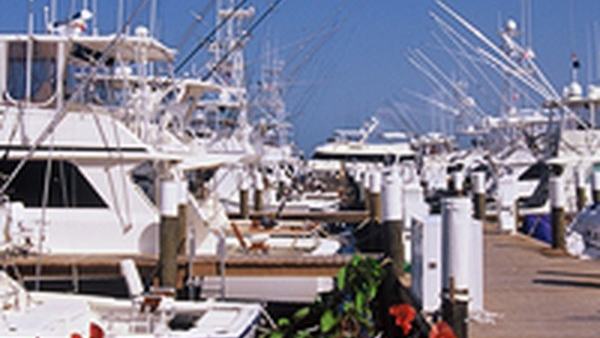 Fishing Boat Accessories: Rod Holders — official Discover Boating image