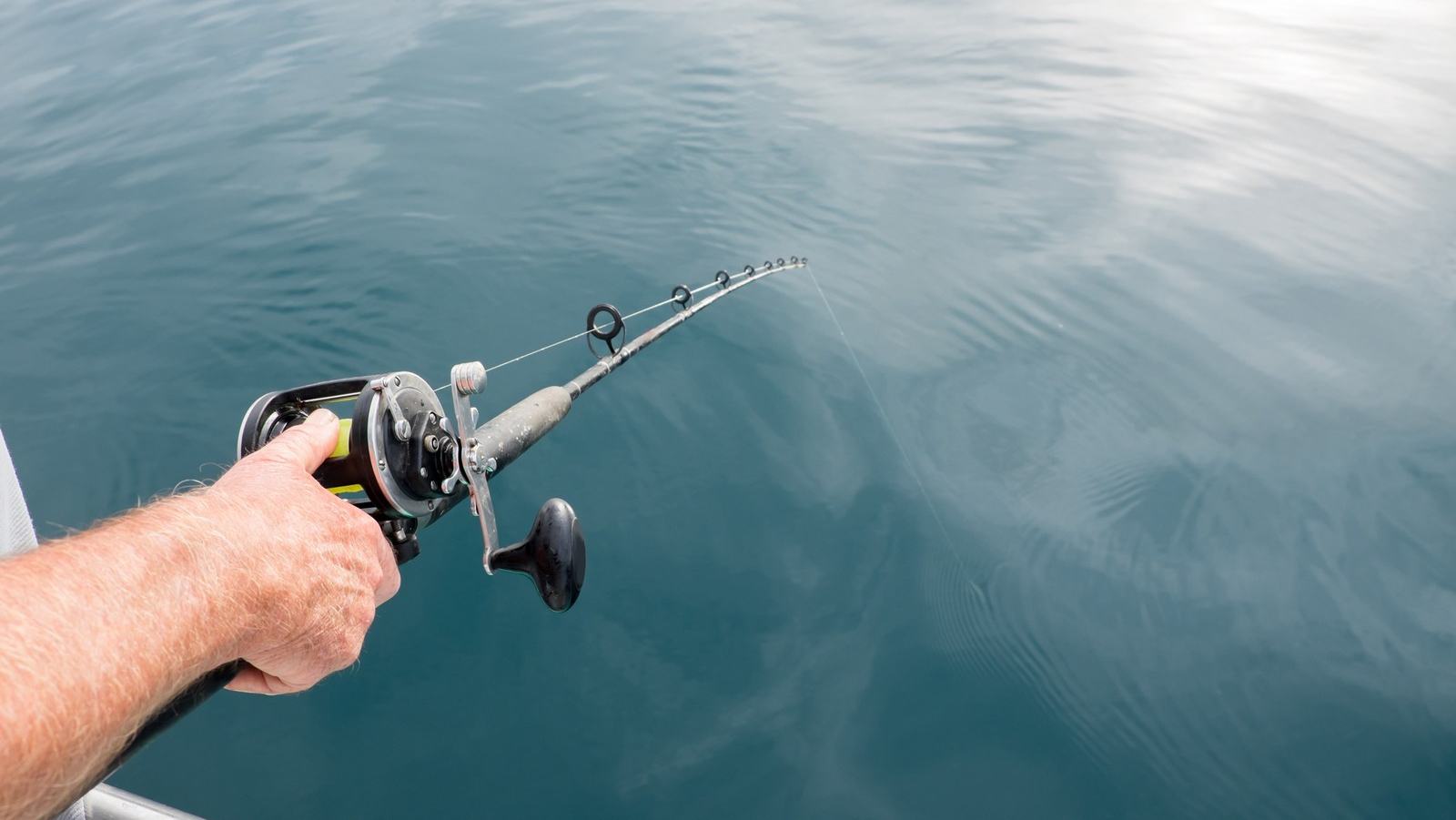 Freshwater Fishing - Carp — official Discover Boating image
