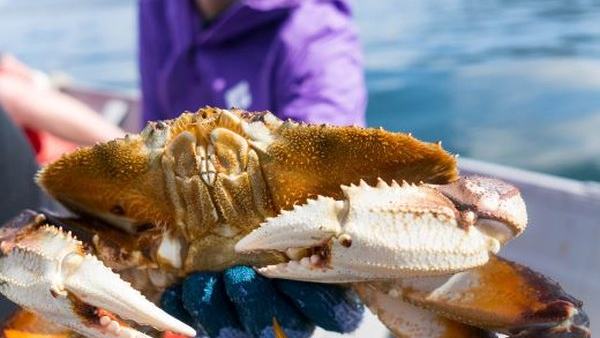 Freshwater Fishing: Rainbow Trout — official Discover Boating image