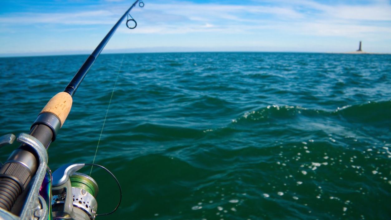 Freshwater Fishing: Black Crappie — official Discover Boating image