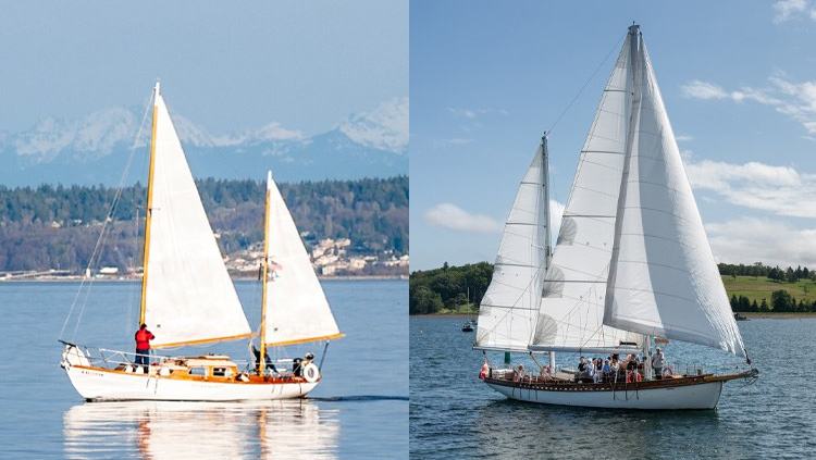Learn How to Sail - Sailing Rules & Instructions — official Discover Boating image