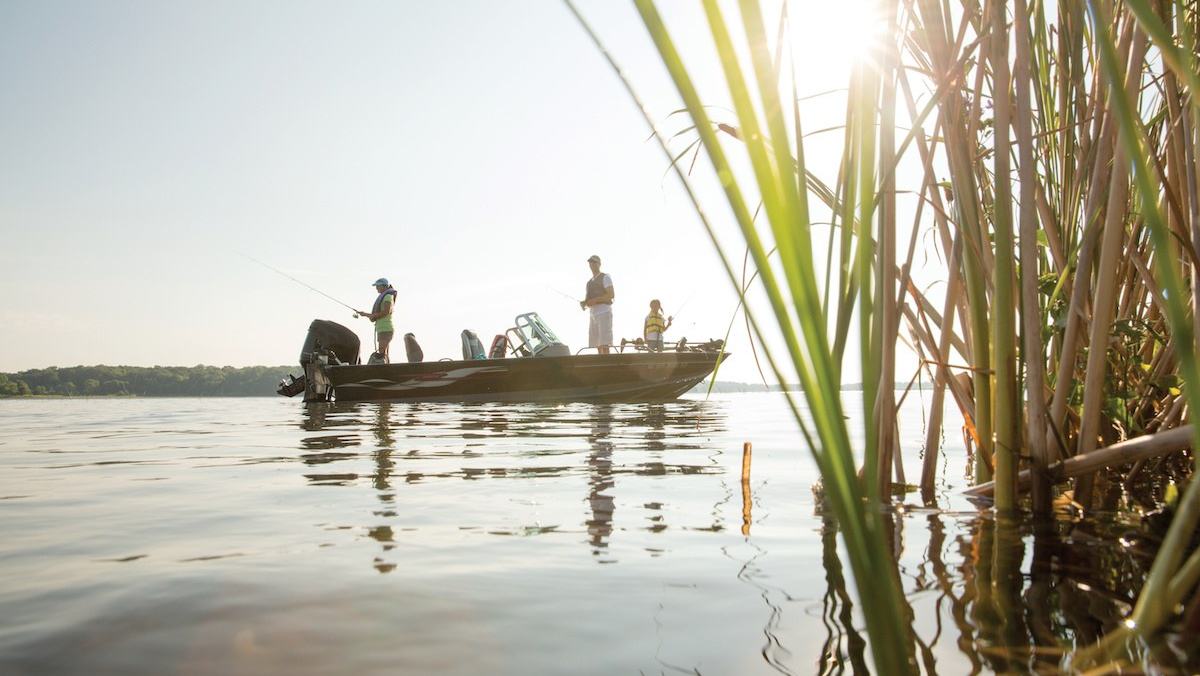 Saltwater Fishing - Bluefish — official Discover Boating image