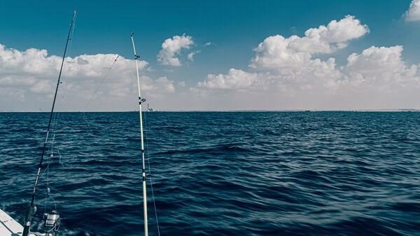 The Top 10 Saltwater Fishing Boats — official Discover Boating image