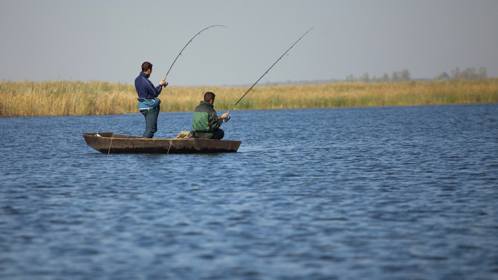 Spring Freshwater Fishing – Tactics and Strategies — official Discover Boating image
