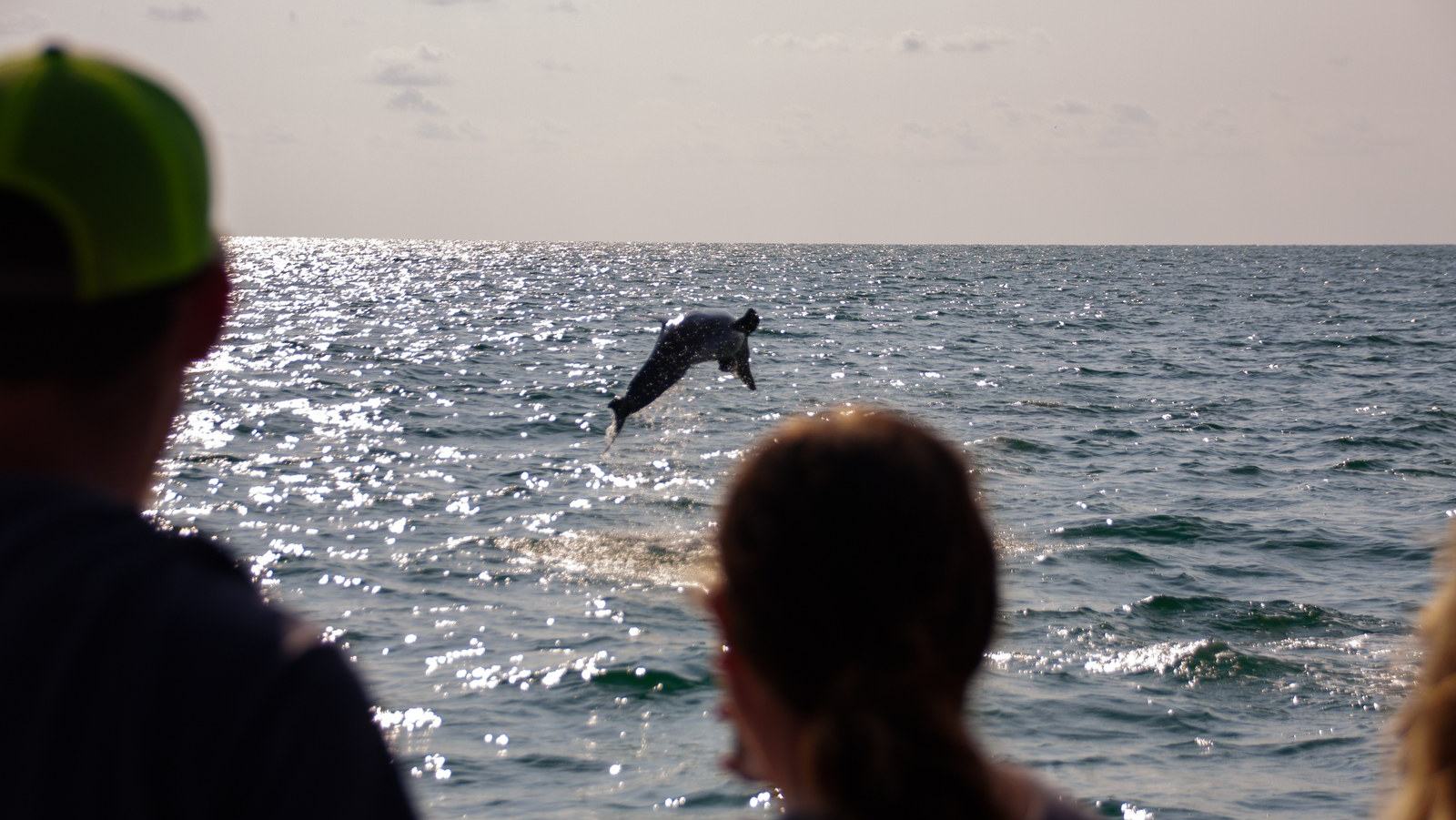Wildlife Refuge Week from the Water: A Quiet Small-Boat Escape — official Discover Boating, National Wildlife Refuge Week: Three Boating Tips image