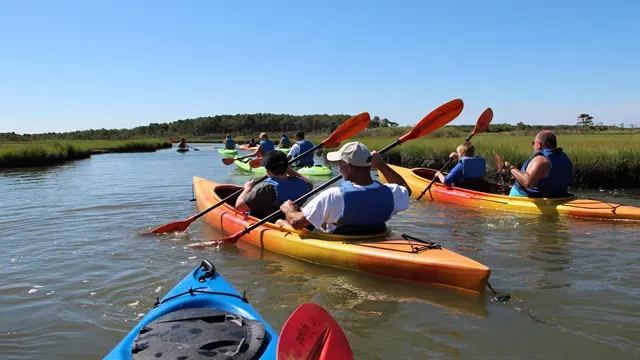 National Park Service — kayakers on Assateague's bayside | Assateague’s Bayside by Kayak: Wild Shorelines Without Chasing the Horses
