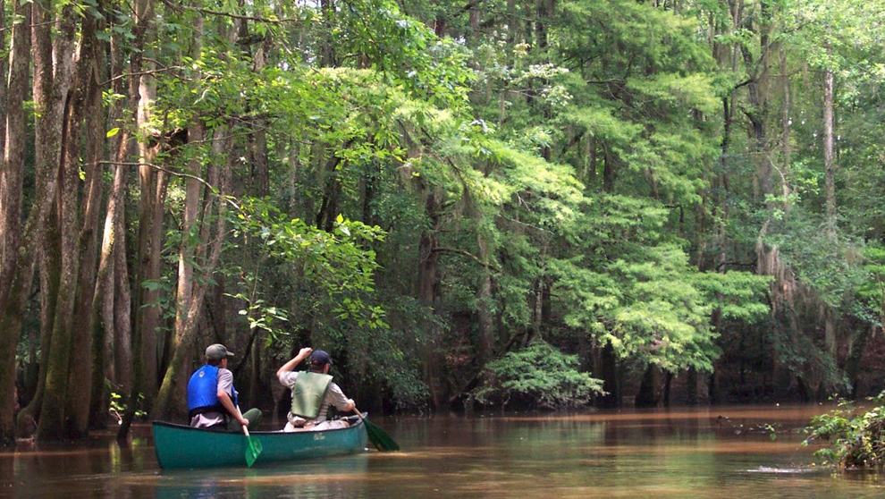 National Park Service — canoeists on Cedar Creek, Congaree | Cedar Creek by Canoe: A Quiet Journey Through Congaree’s Floodplain Forest