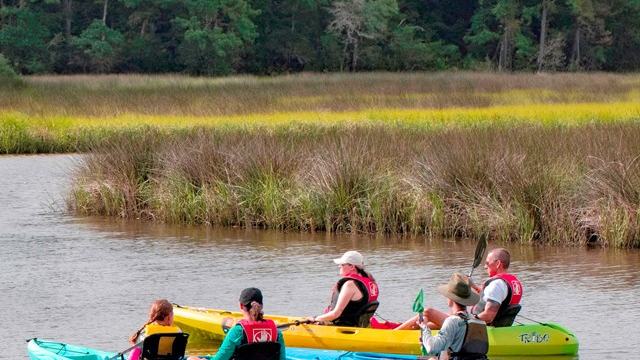 National Park Service — kayaking a protected bayou at Gulf Islands | Gulf Islands by Kayak: Protected Bayous Before the Open-Water Barrier Islan
