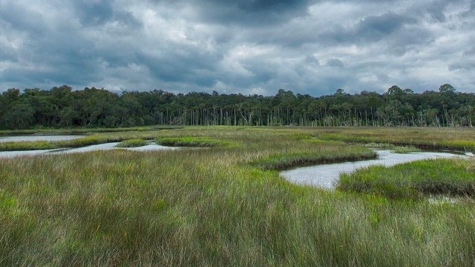 Timucuan by Kayak: Exploring Jacksonville's Salt Marshes with the Tides - National Park Service image