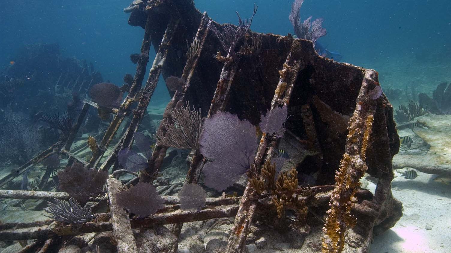 National Park Service official photograph: remains of the Mandalay wreck, Biscayne National Park