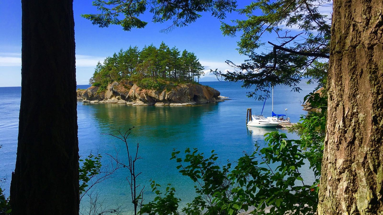 Washington State Parks / official Matia Island Marine State Park photography (island trees and moored boat, April 2023)
