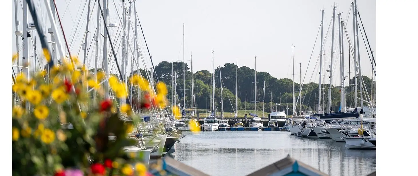 Lymington Yacht Haven Adds Western Solent Live Webcam — official British Marine image