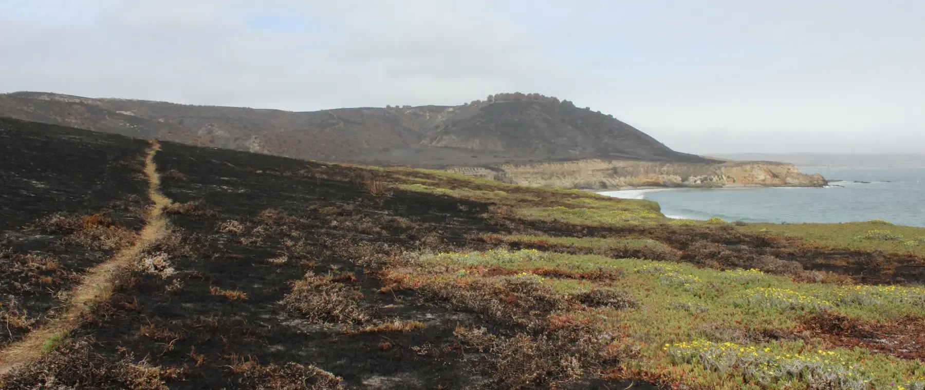 U.S. Department of the Interior / Burned Area Emergency Response Team — June 2026 Santa Rosa Island fire aftermath | Santa Rosa Island Reopens Selected Camping After 2026 Wildfire