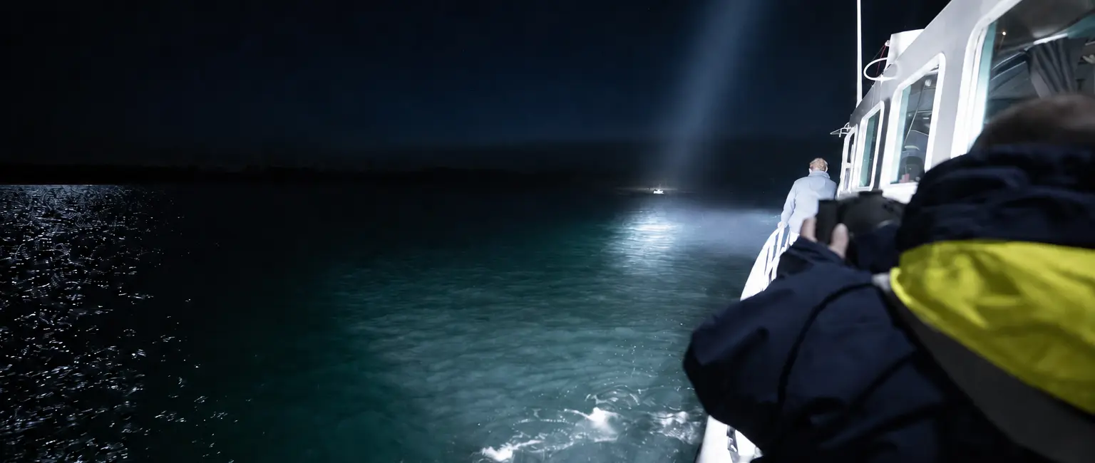 SEA.AI Sentry and Carlisle & Finch SmartVIEW searchlight integration | Official source: https://www.pressmare.it/en/services/seaal/2026-09-24/links-ai-detection-searchlights-follow-person-overboard-92921