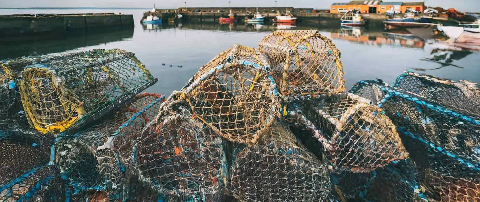 Report your entanglements — official Royal Yachting Association image
